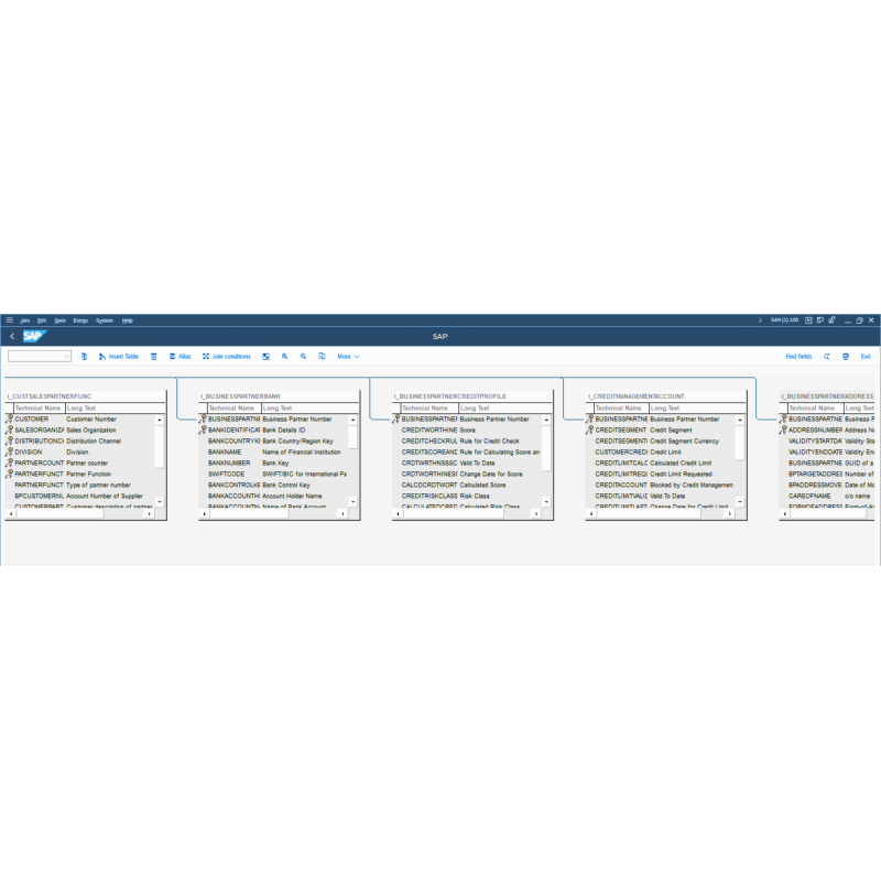 Customer Master by CDS View