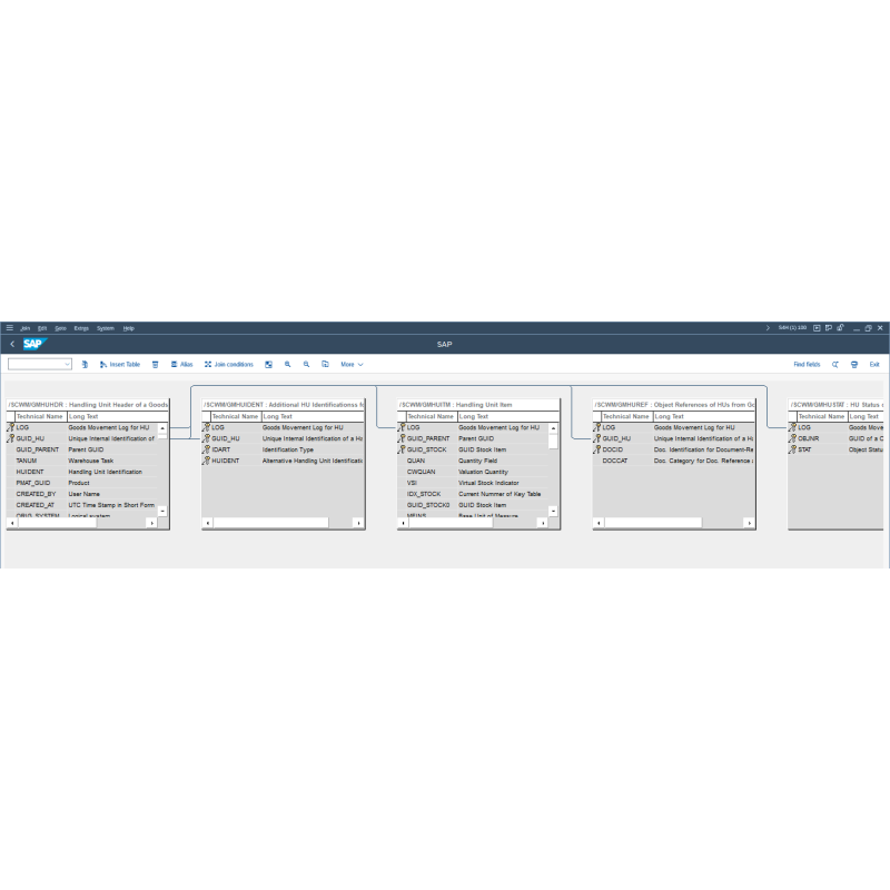 EWM Handling Unit GM by Tables