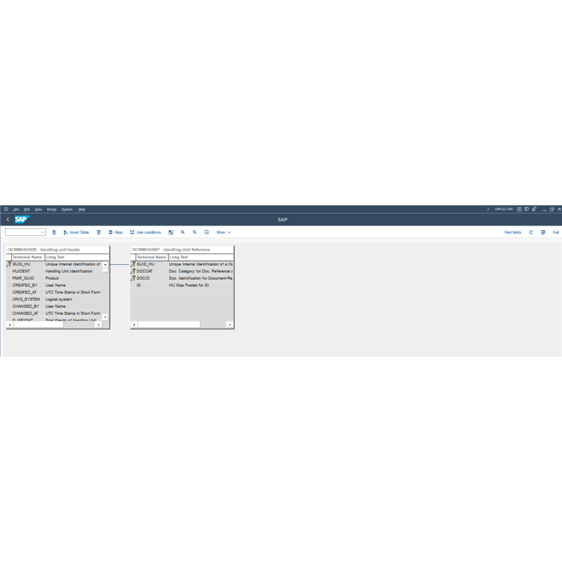 EWM Handling Unit by Tables