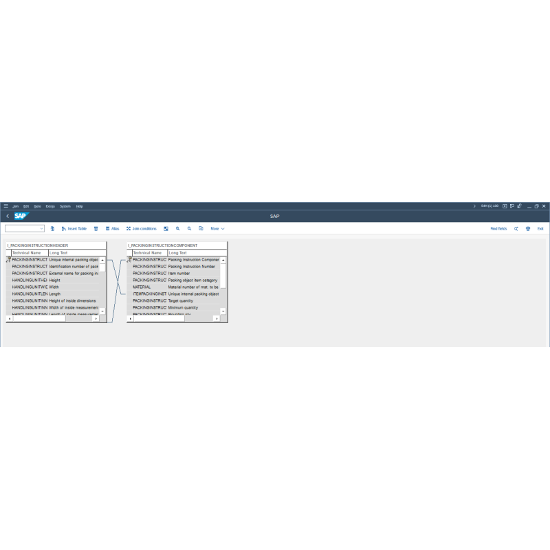 EWM Packing Instructions by CDS VIEWS