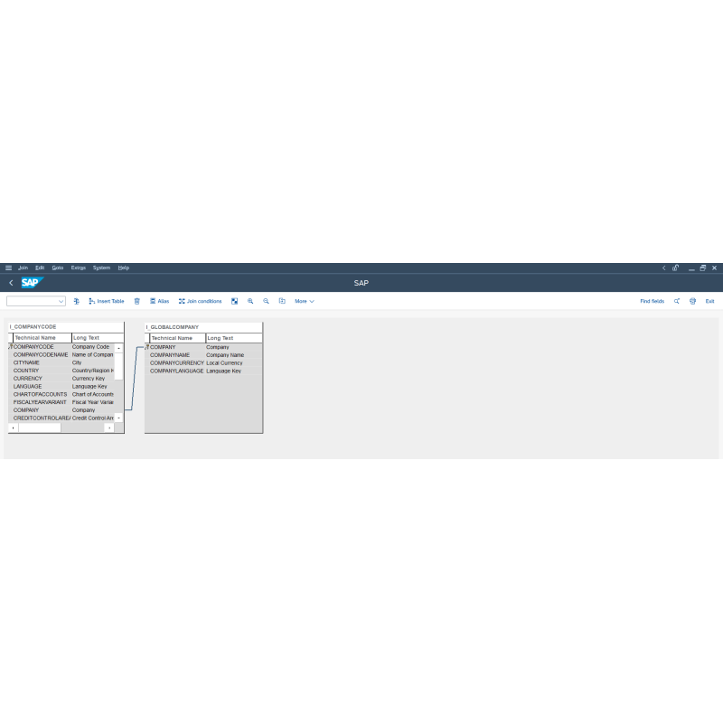 Company Code by CDS VIEWS